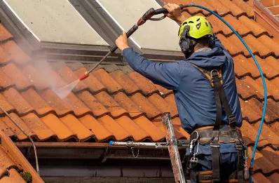 Démoussage et hydrofuge de toiture à Rosis